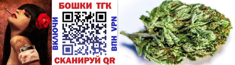 Бошки Шишки семена  сколько стоит  Пыталово 